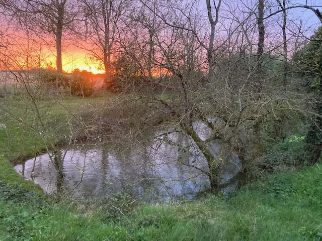 COUCHÉ DE SOLEIL