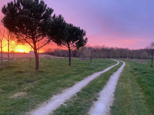 COUCHÉ DE SOLEIL