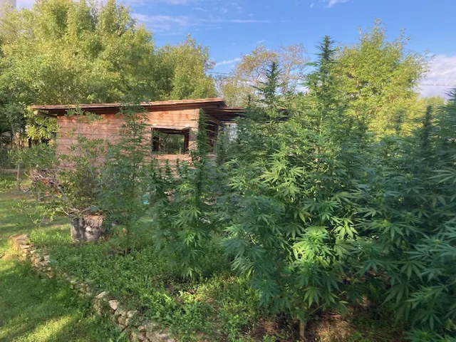 CABANE AU FOND DU JARDIN