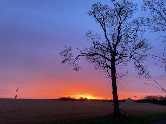 cOUCHÉ DE SOLEIL